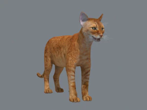 My Cat 8K - 3d animated model 3D Model