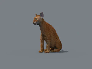 My Cat 8K - 3d animated model 3D Model