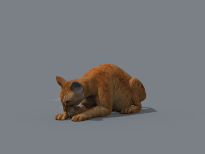 My Cat 8K - 3d animated model Modelo 3D