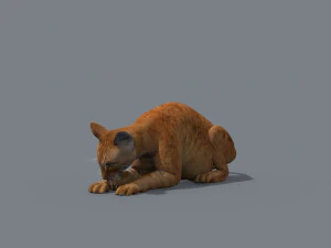 My Cat 8K - 3d animated model 3D Model