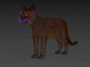 My Cat 8K - 3d animated model Modelo 3D