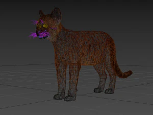 My Cat 8K - 3d animated model 3D Model