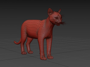 My Cat 8K - 3d animated model Modelo 3D