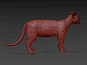 My Cat 8K - 3d animated model Modelo 3D