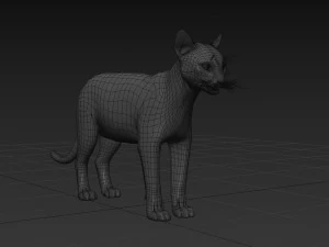My Cat 8K - 3d animated model 3D Model