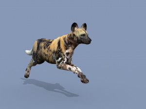 Ultimate Wild Dog 8K - 3d animated model 3D Model