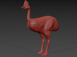 Most Real Cassowary 8K - 3d animated model 3D Model