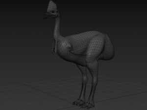 Most Real Cassowary 8K - 3d animated model 3D Model