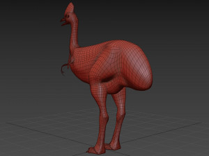 Most Real Cassowary 8K - 3d animated model 3D Model