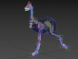 Most Real Cassowary 8K - 3d animated model 3D Model