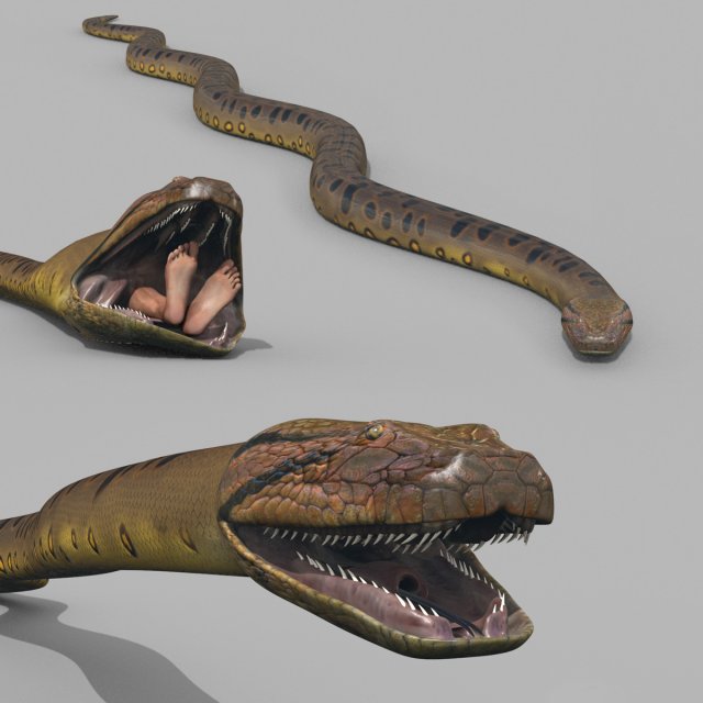 Monstre Anacond 8K - 3d animated model 3D Model .c4d .max .obj .3ds .fbx .lwo .lw .lws