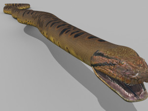 Monstre Anacond 8K - 3d animated model Modelo 3D