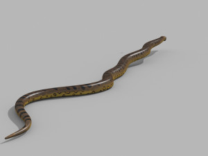 Monstre Anacond 8K - 3d animated model Modelo 3D