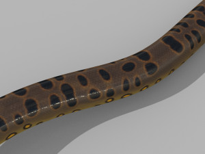 Monstre Anacond 8K - 3d animated model Modelo 3D