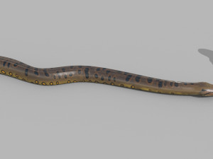 Monstre Anacond 8K - 3d animated model Modelo 3D