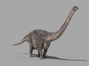 Apatosaur Forever - 8K 3D Model