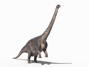 Apatosaur Forever - 8K 3D Model