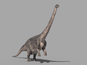 Apatosaur Forever - 8K 3D Model