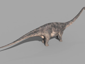 Apatosaur Forever - 8K 3D Model