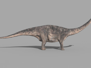 Apatosaur Forever - 8K 3D Model