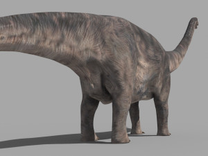 Apatosaur Forever - 8K 3D Model