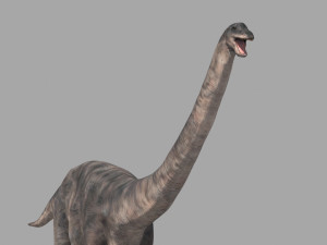 Apatosaur Forever - 8K 3D Model