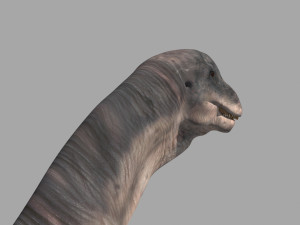 Apatosaur Forever - 8K 3D Model