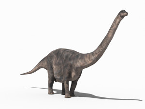 Apatosaur Forever - 8K 3D Model