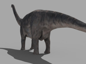 Apatosaur Forever - 8K 3D Model