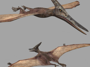 Pterosaur Forever 8K - 3d animated model 3D Модель