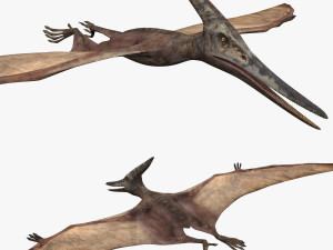 Pterosaur Forever 8K - 3d animated model 3D मॉडल