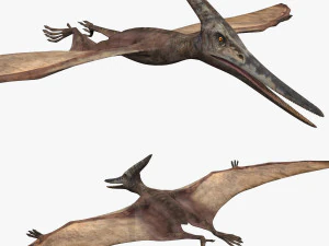 Pterosaur Forever 8K - 3d animated model 3D Model