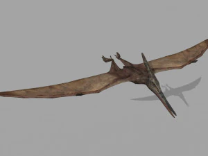 Pterosaur Forever 8K - 3d animated model 3D Model