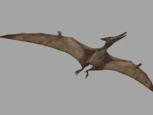 Pterosaur Forever 8K - 3d animated model 3D Model
