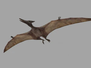 Pterosaur Forever 8K - 3d animated model 3D Model