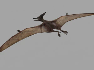 Pterosaur Forever 8K - 3d animated model 3D Model