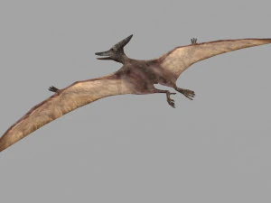 Pterosaur Forever 8K - 3d animated model 3D Model