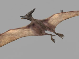 Pterosaur Forever 8K - 3d animated model 3D Model
