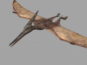 Pterosaur Forever 8K - 3d animated model 3D Model