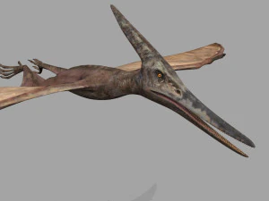 Pterosaur Forever 8K - 3d animated model 3D Model