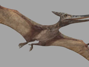 Pterosaur Forever 8K - 3d animated model 3D Model