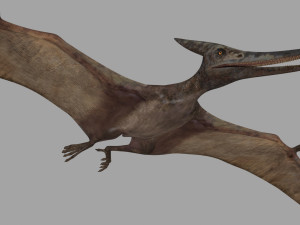 Pterosaur Forever 8K - 3d animated model 3D मॉडल