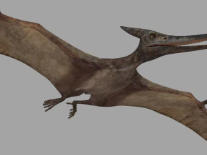 Pterosaur Forever 8K - 3d animated model 3D Model