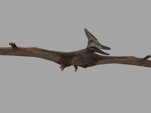 Pterosaur Forever 8K - 3d animated model 3D Model