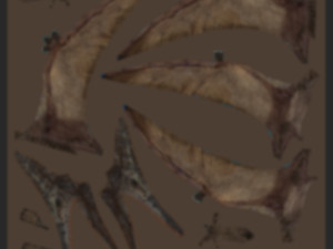Pterosaur Forever 8K - 3d animated model 3D मॉडल