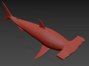 Hammerhead Shark 8K- 3d animated 3D Model