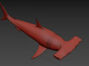 Hammerhead Shark 8K- 3d animated 3D Model