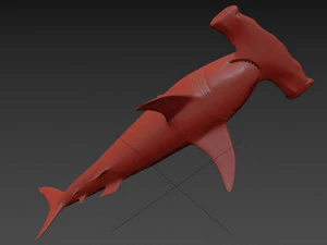 Hammerhead Shark 8K- 3d animated 3D Model