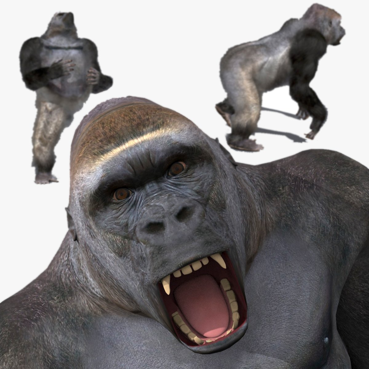 Gorilla 3d store