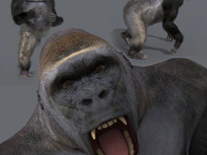 King Kong Silverback Gorilla 8K- 3d animated 3D Model